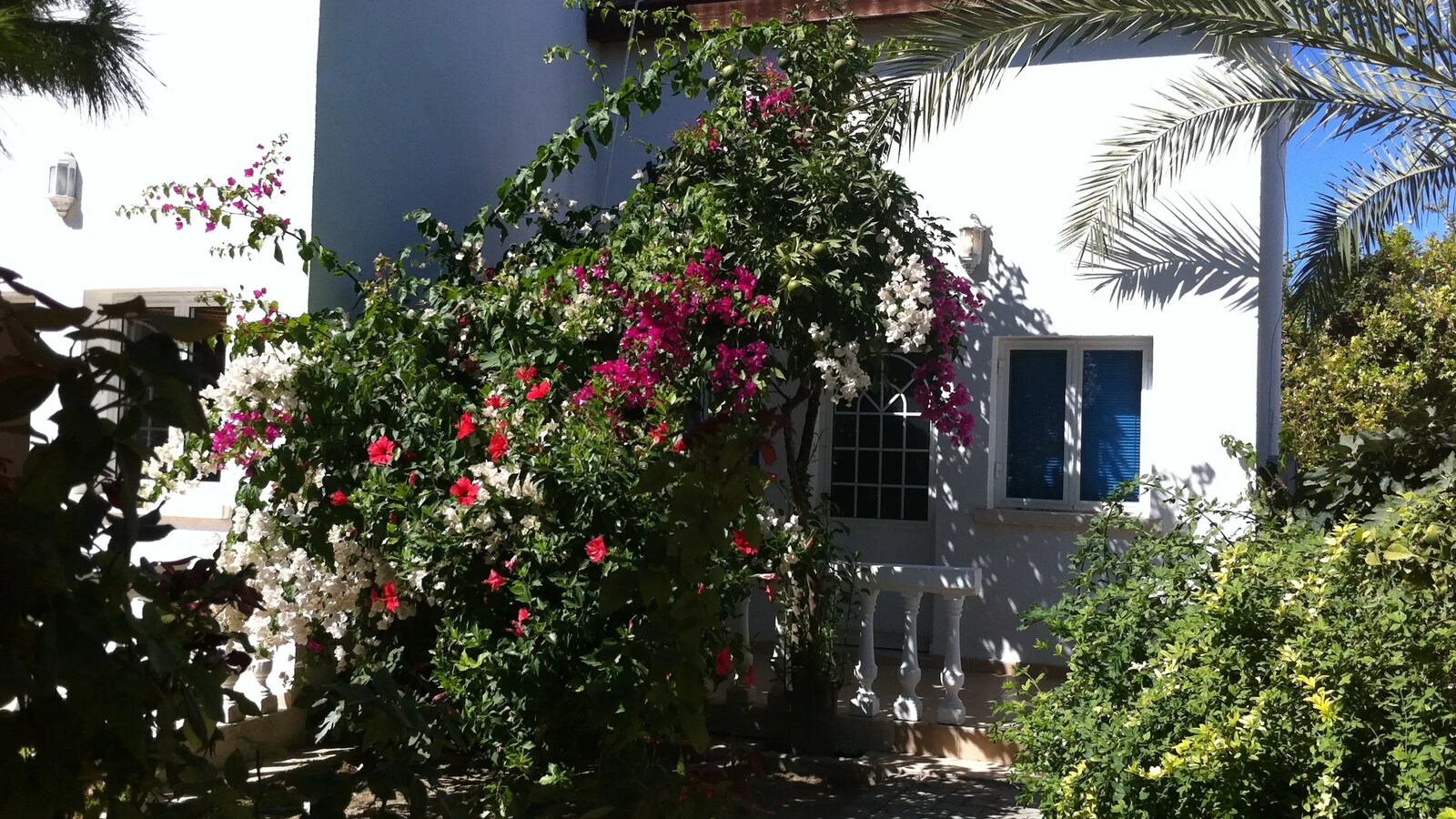 Marsin Hotel villa bahçesi ve çiçekler
